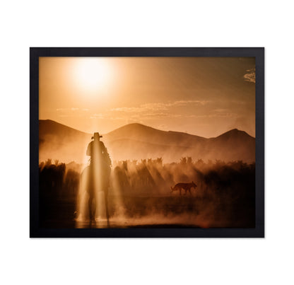 Cowboy Herd Sunset No1