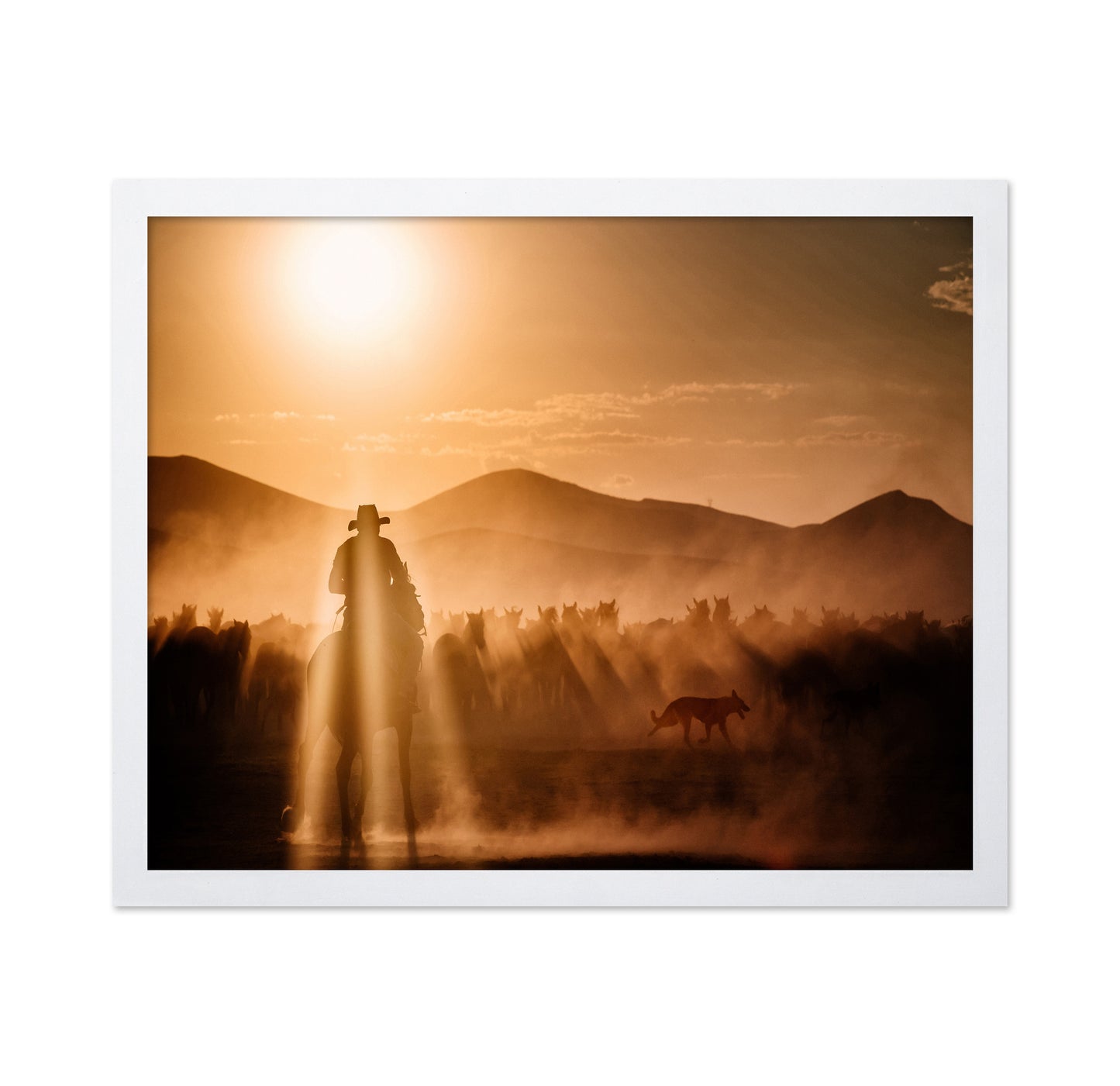 Cowboy Herd Sunset No1