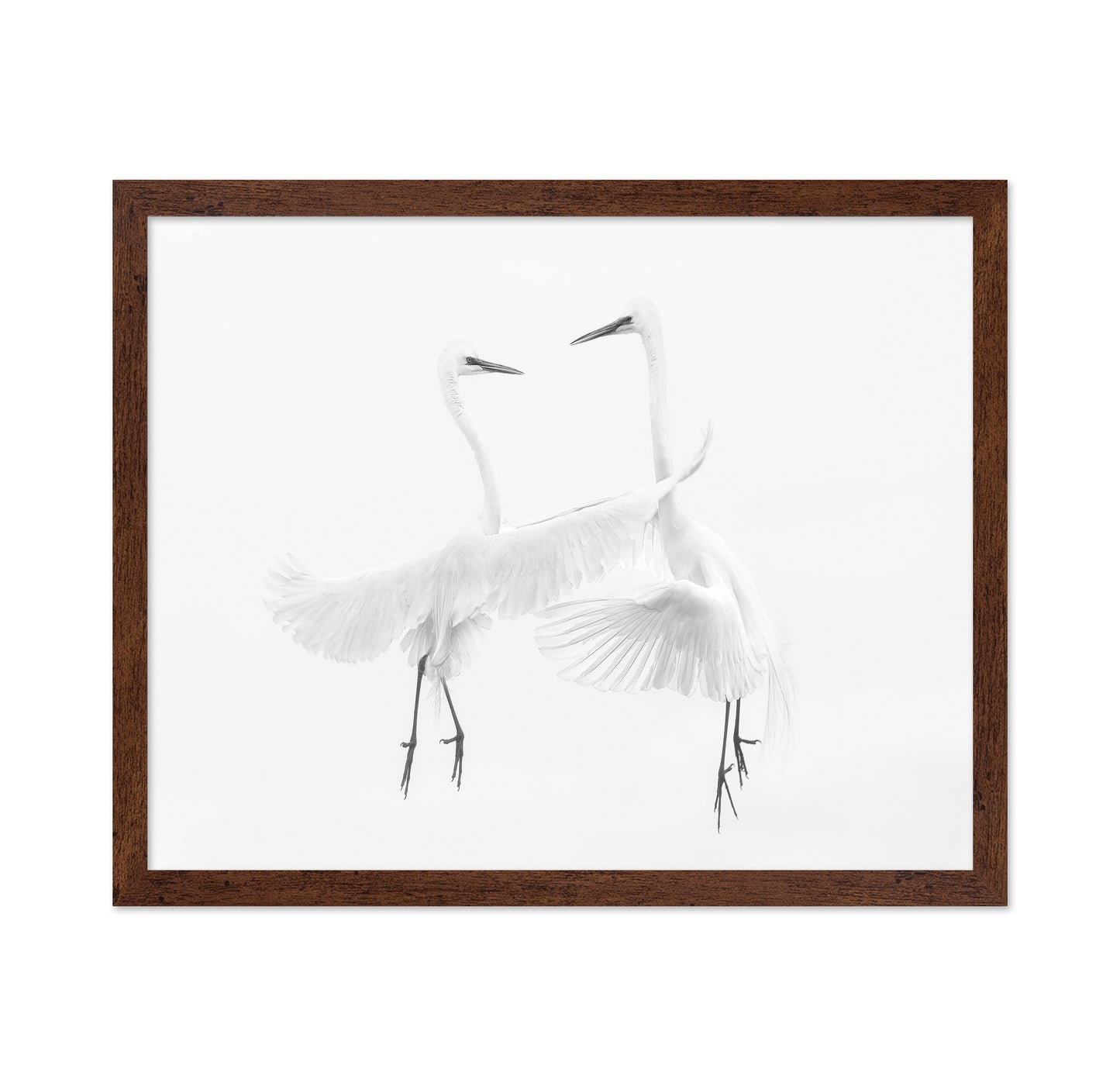 Ethereal Egret Dance