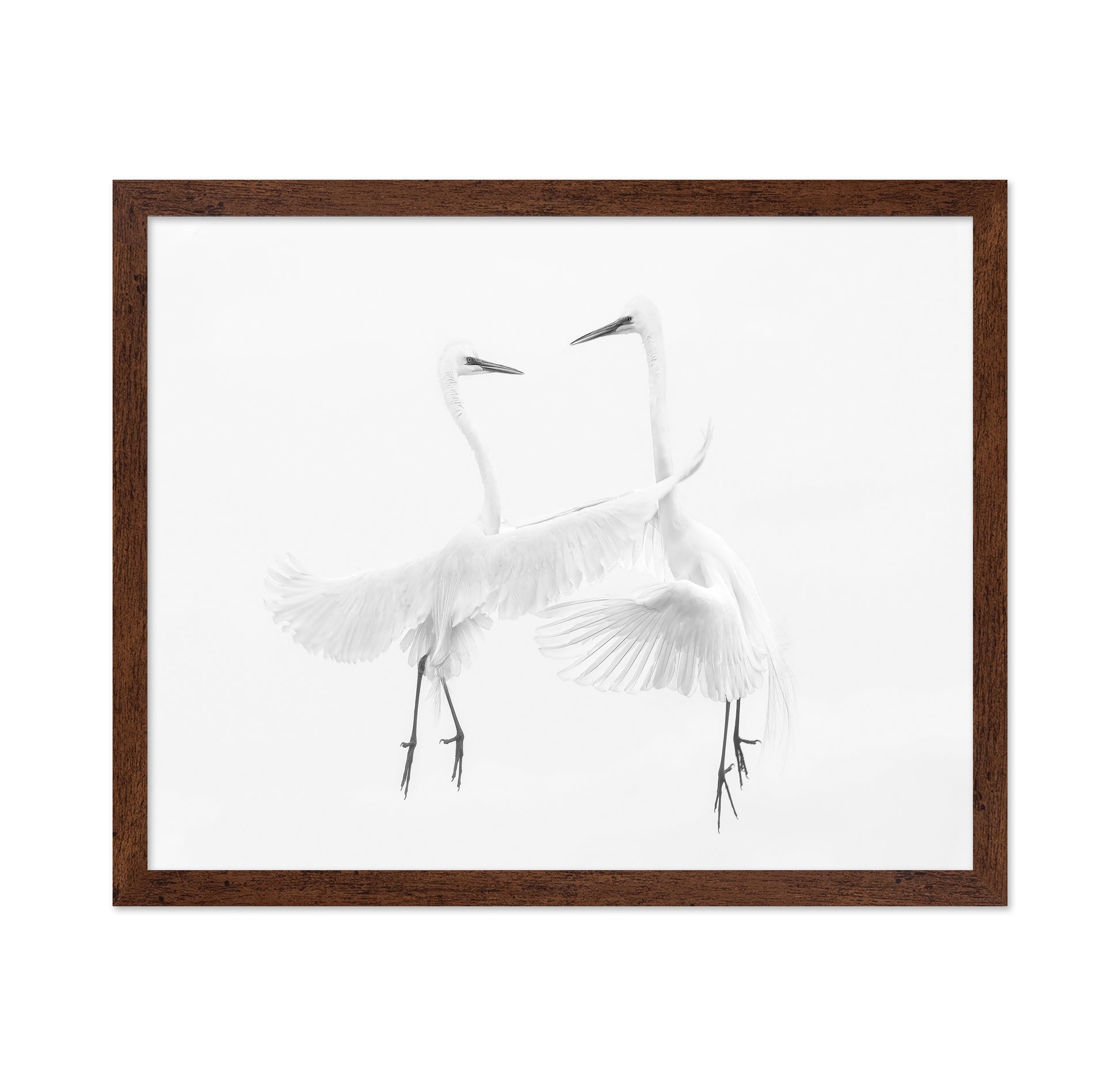 Ethereal Egret Dance
