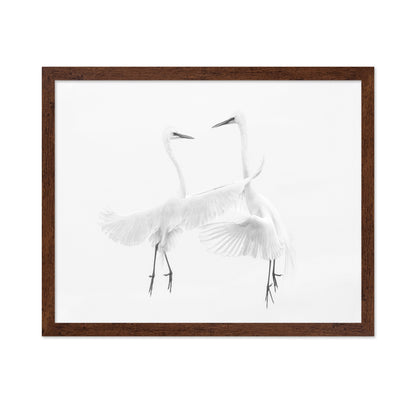 Ethereal Egret Dance