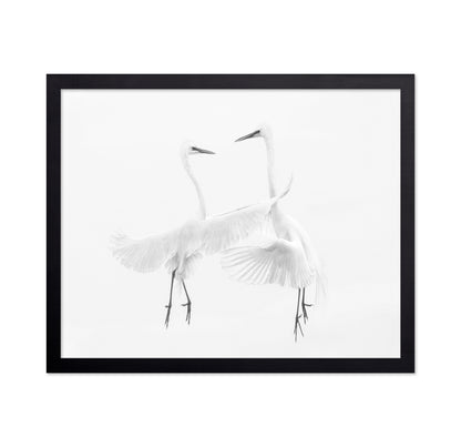 Ethereal Egret Dance