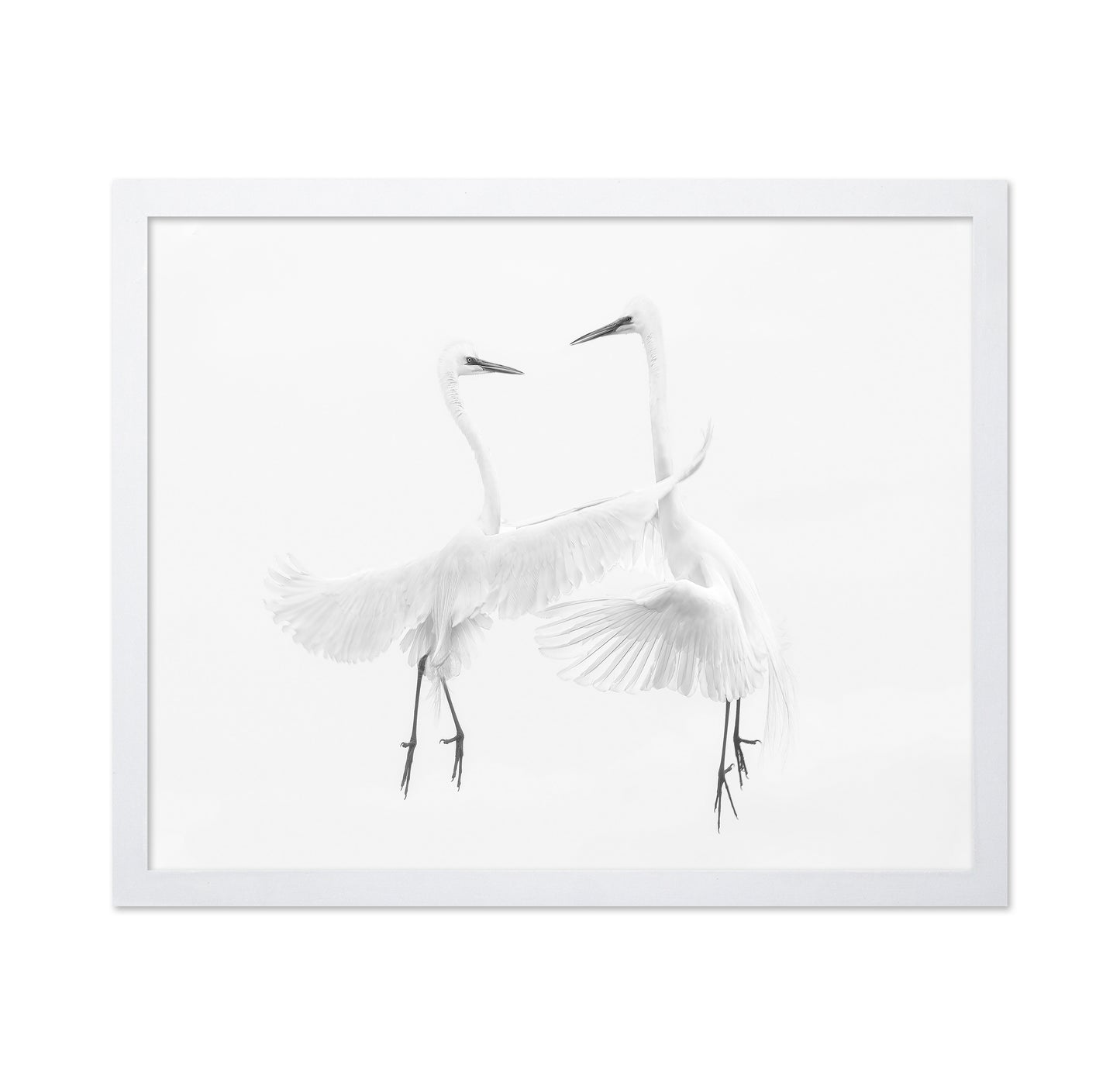 Ethereal Egret Dance