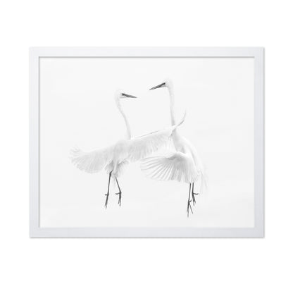Ethereal Egret Dance