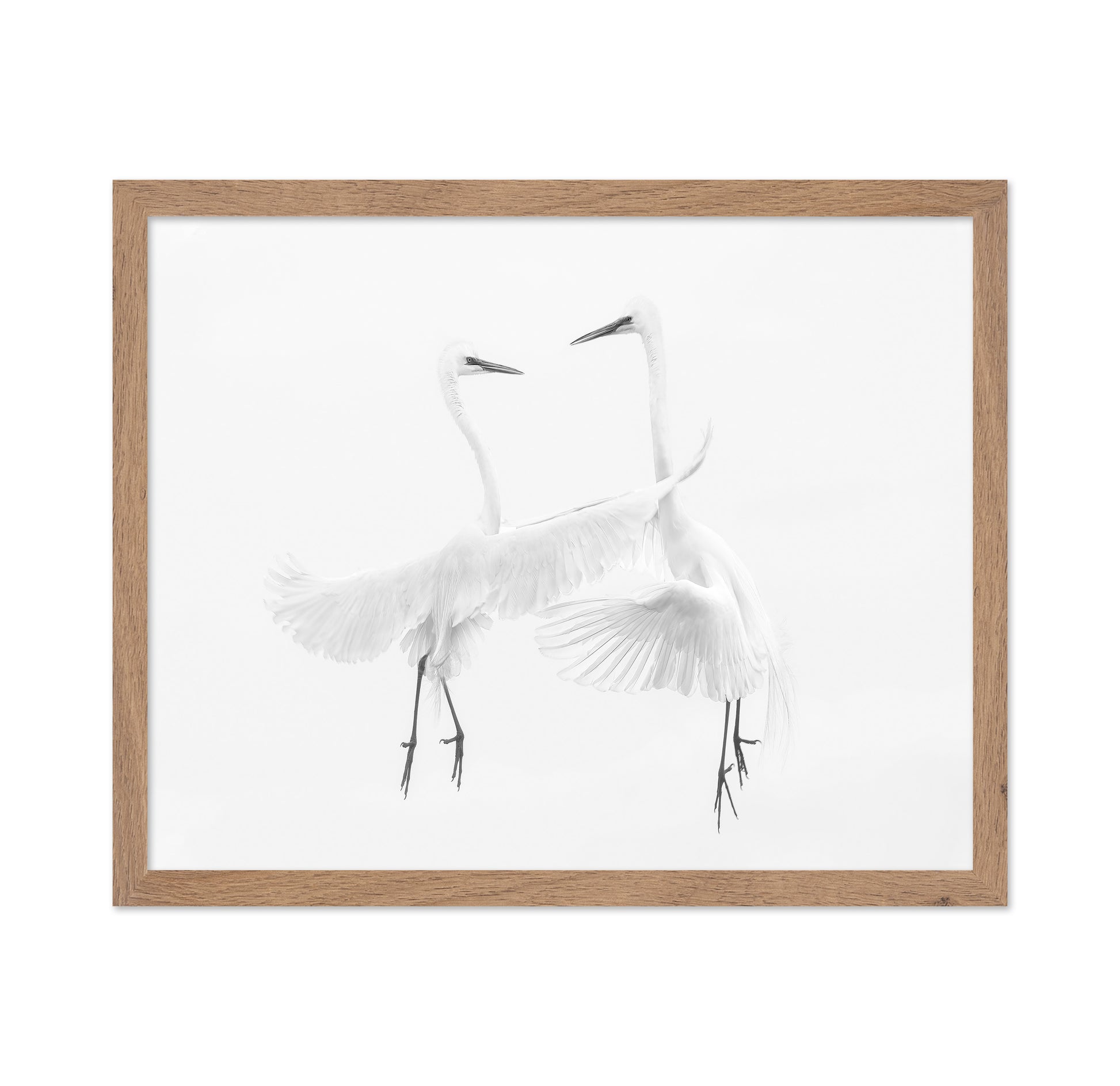 Ethereal Egret Dance