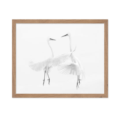 Ethereal Egret Dance