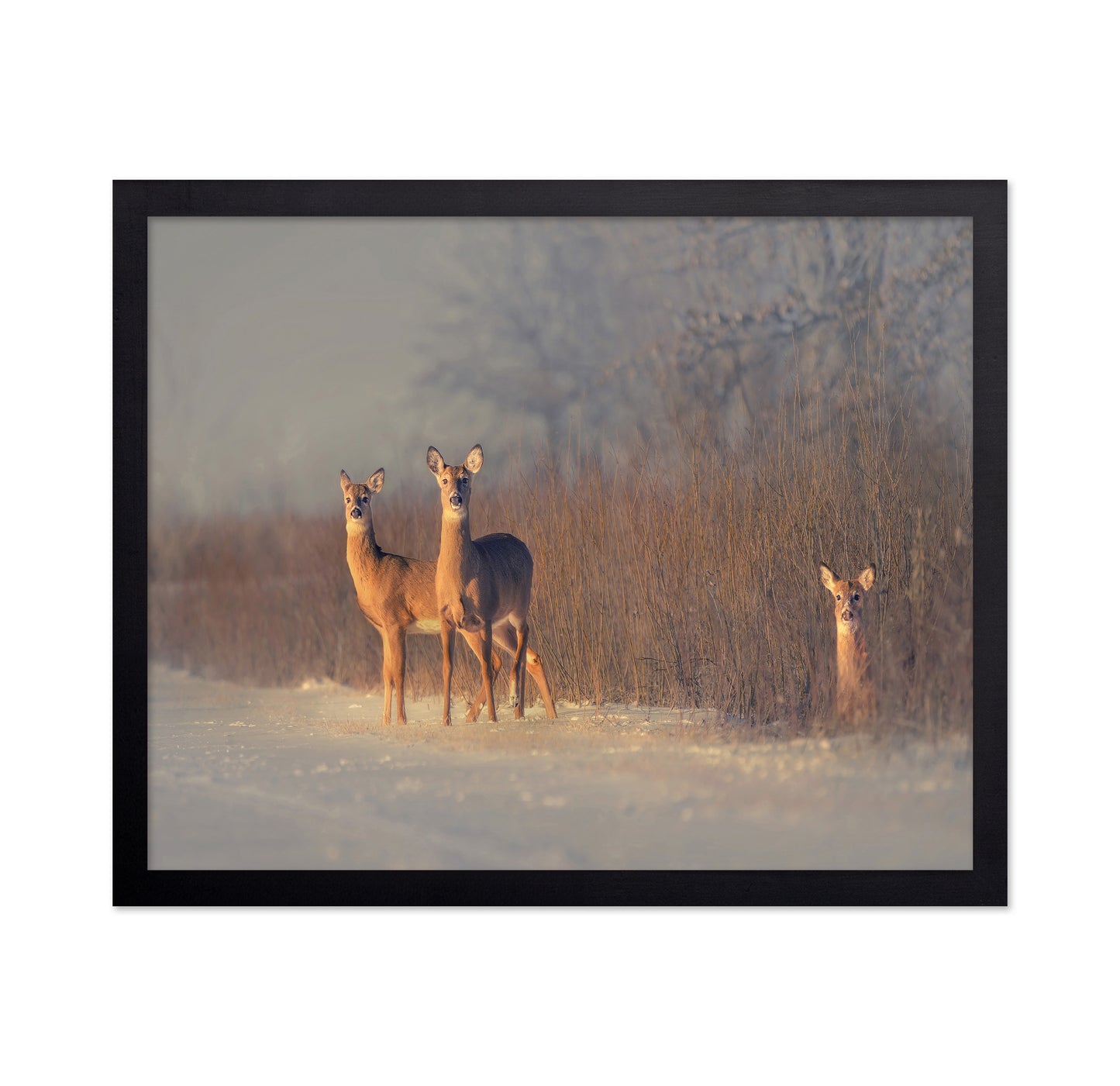 Winter Deer Trio