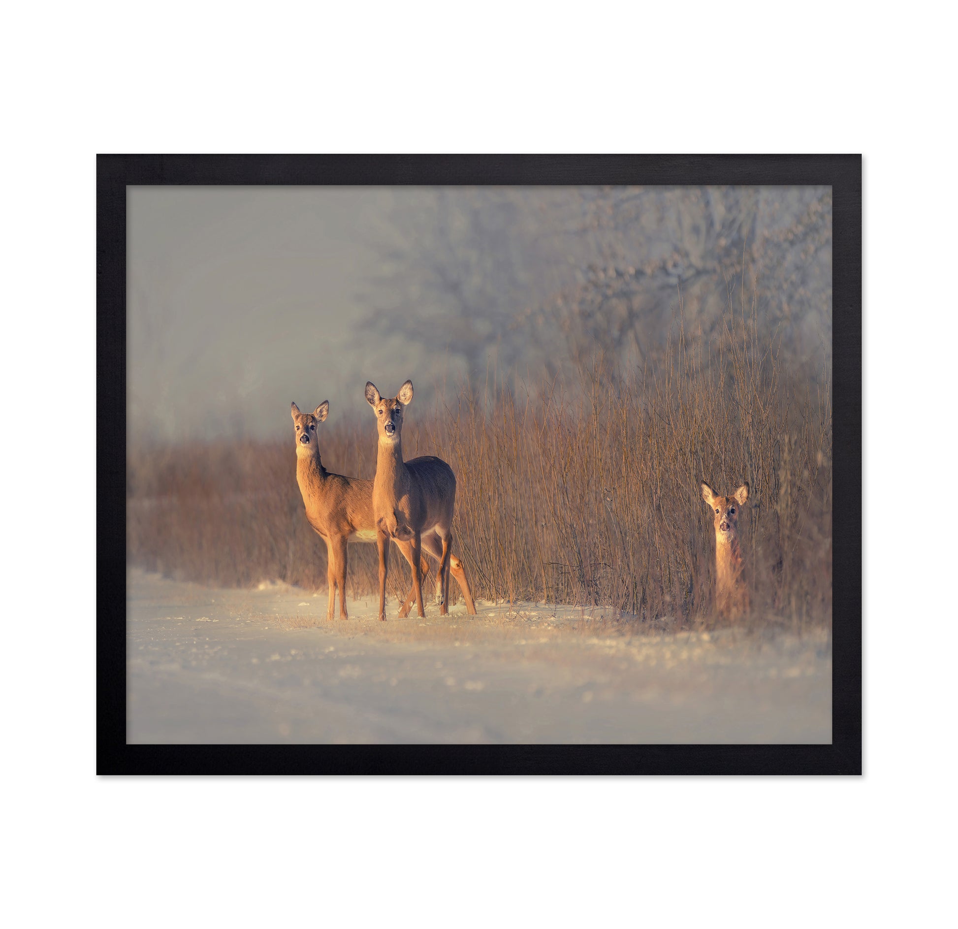 Winter Deer Trio