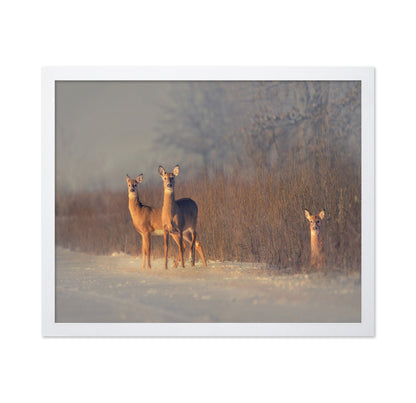 Winter Deer Trio