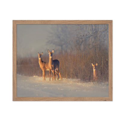 Winter Deer Trio