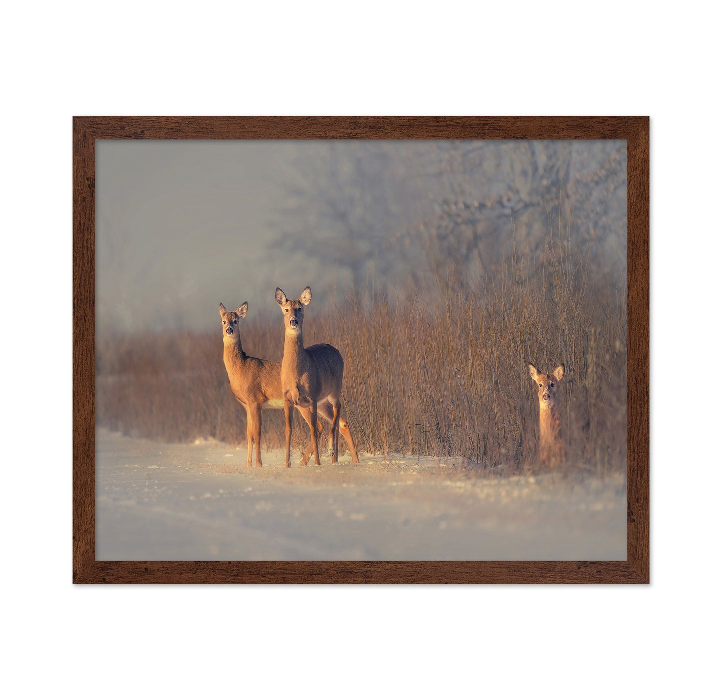 Winter Deer Trio