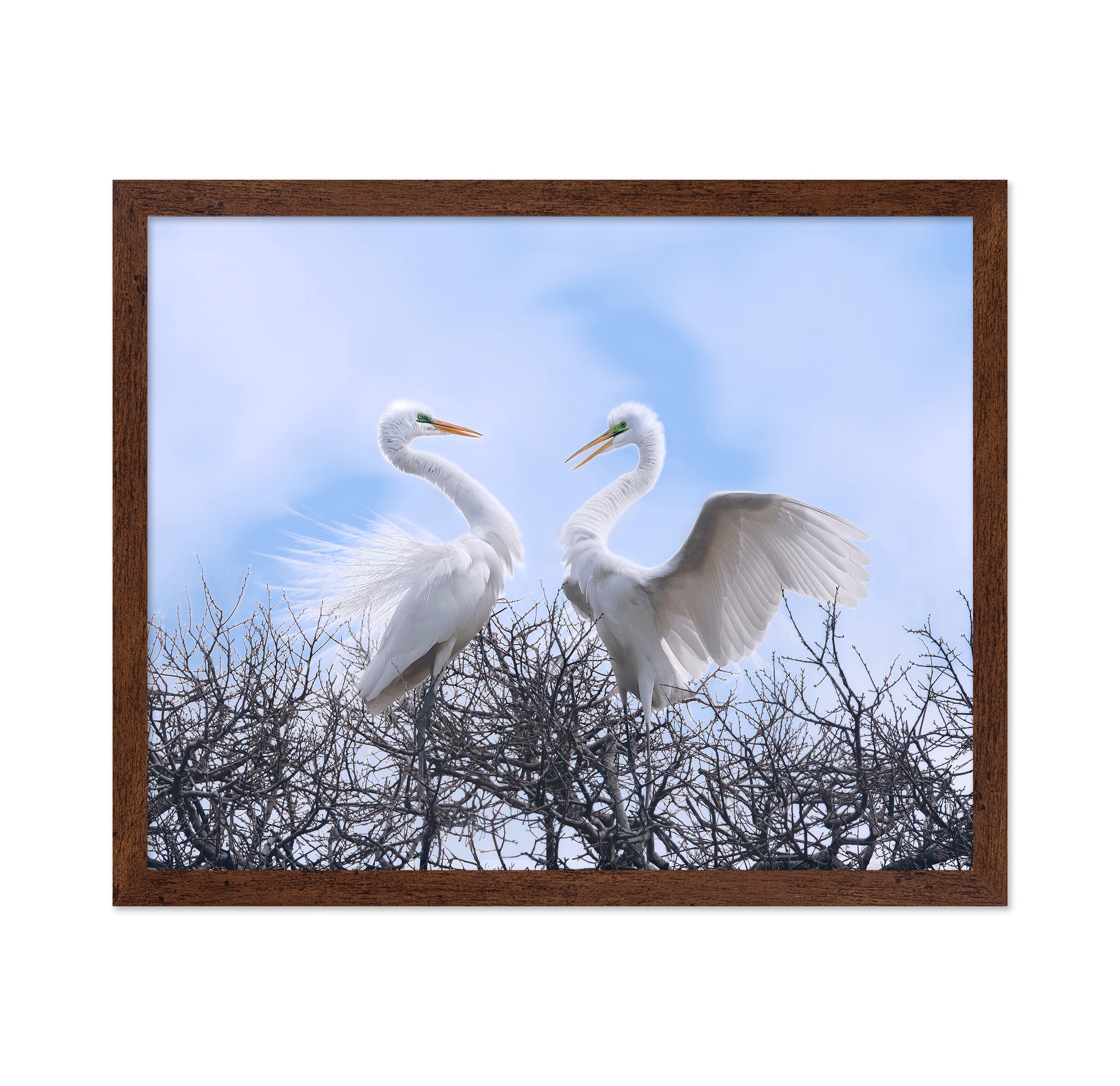 Egret Heart Pair