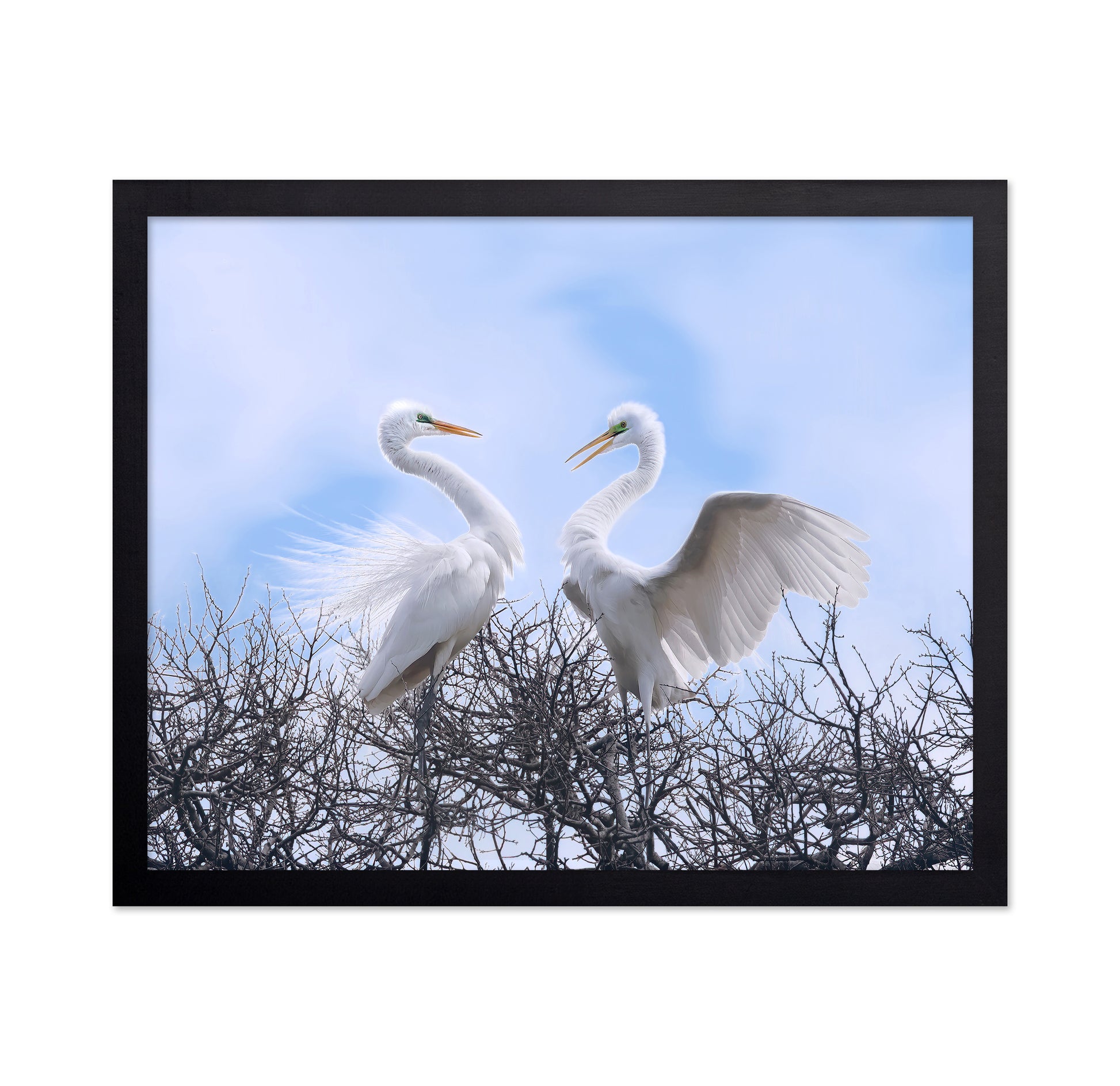 Egret Heart Pair