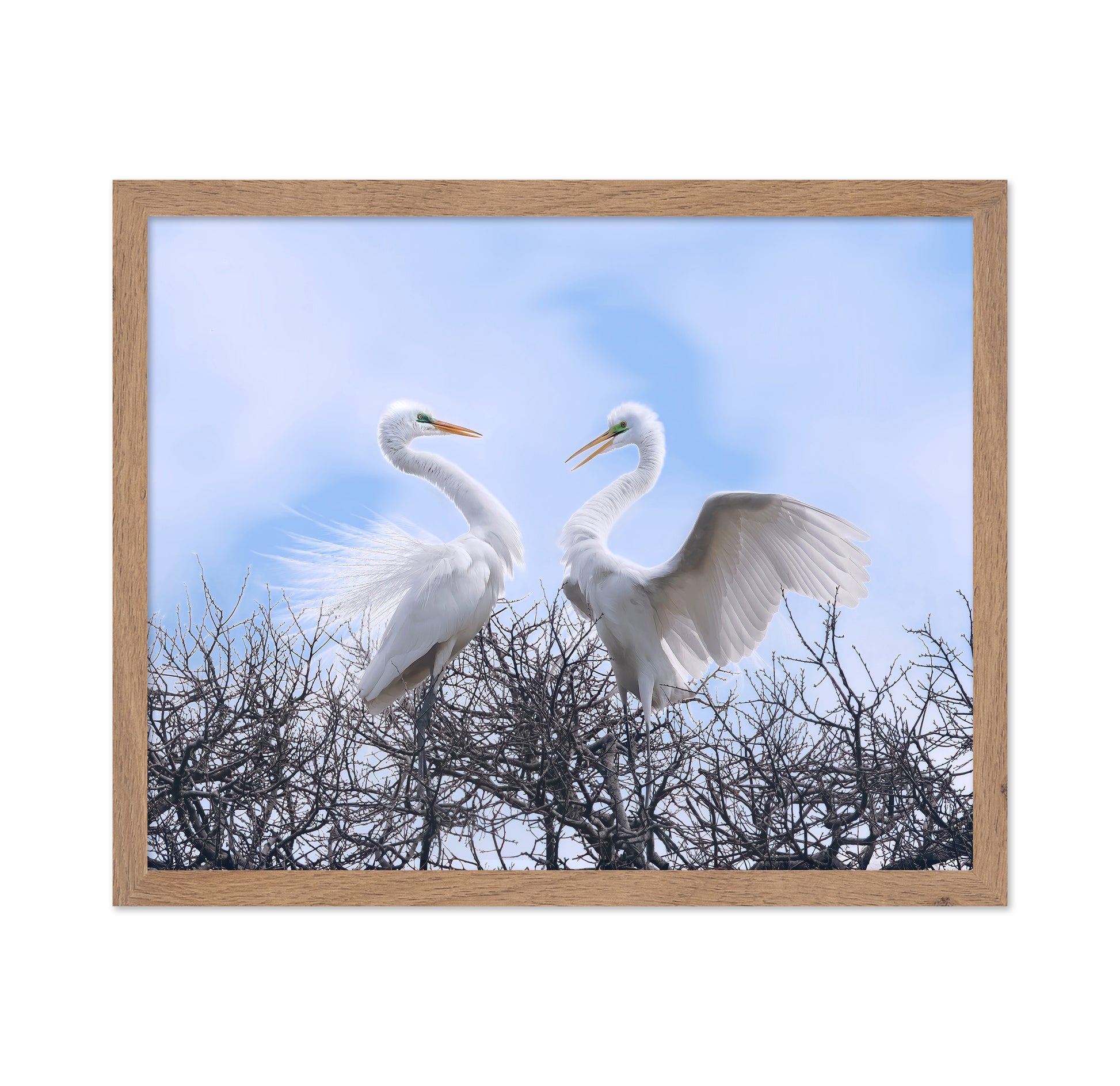 Egret Heart Pair