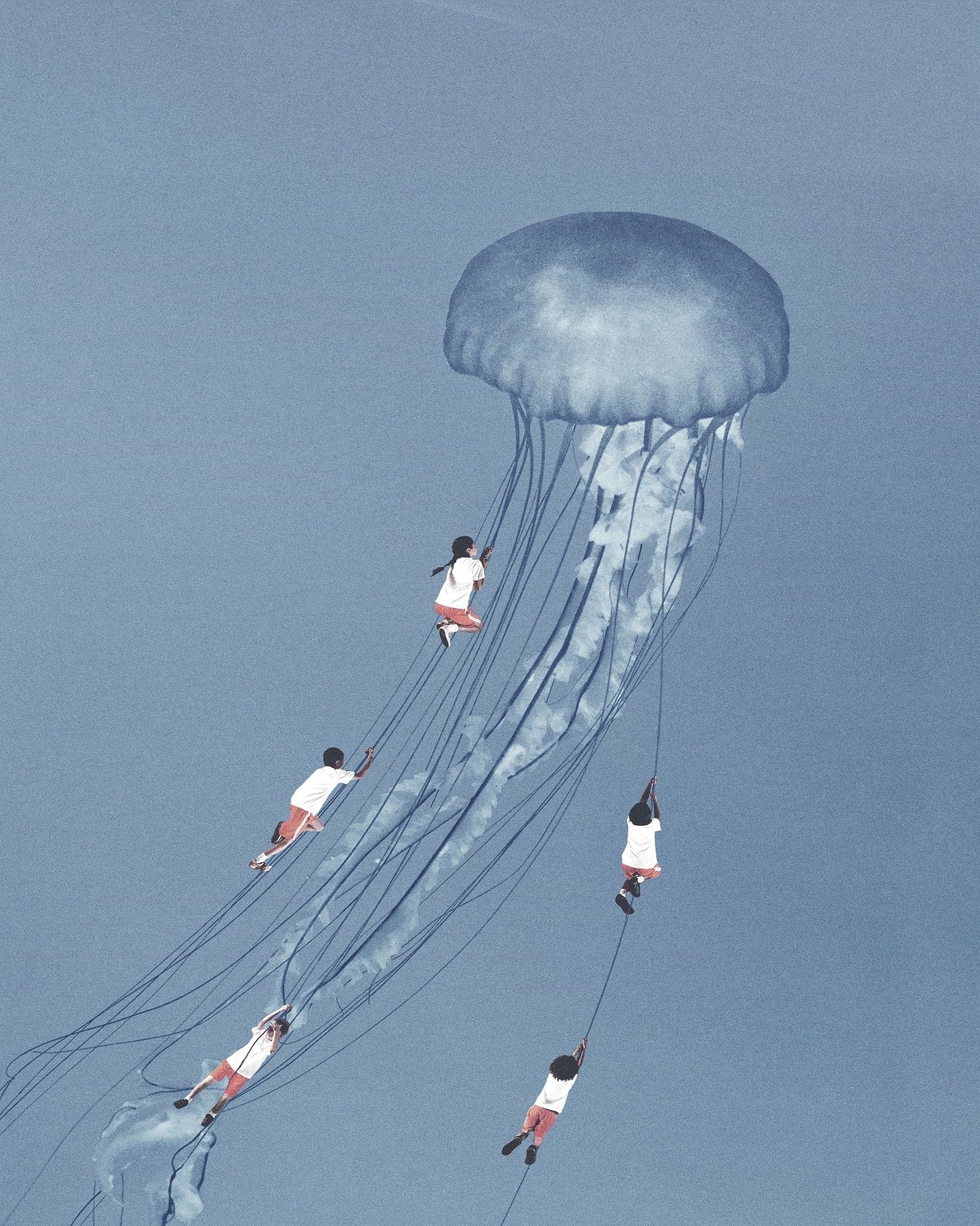 Jellyfish Journey