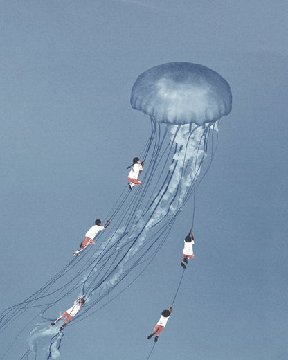 Jellyfish Journey