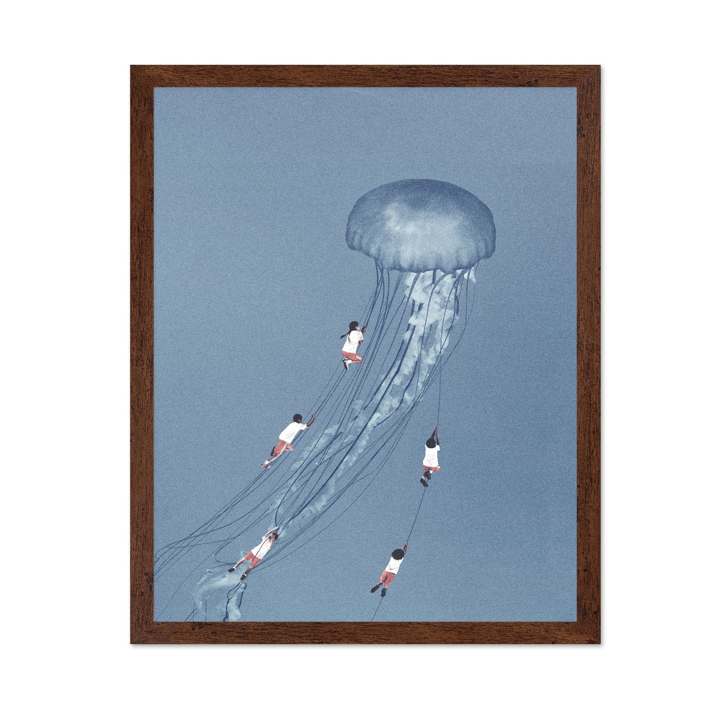 Jellyfish Journey