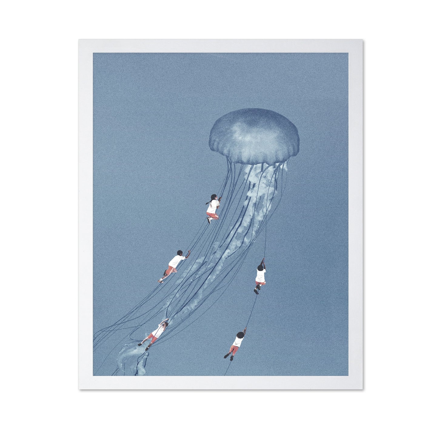 Jellyfish Journey