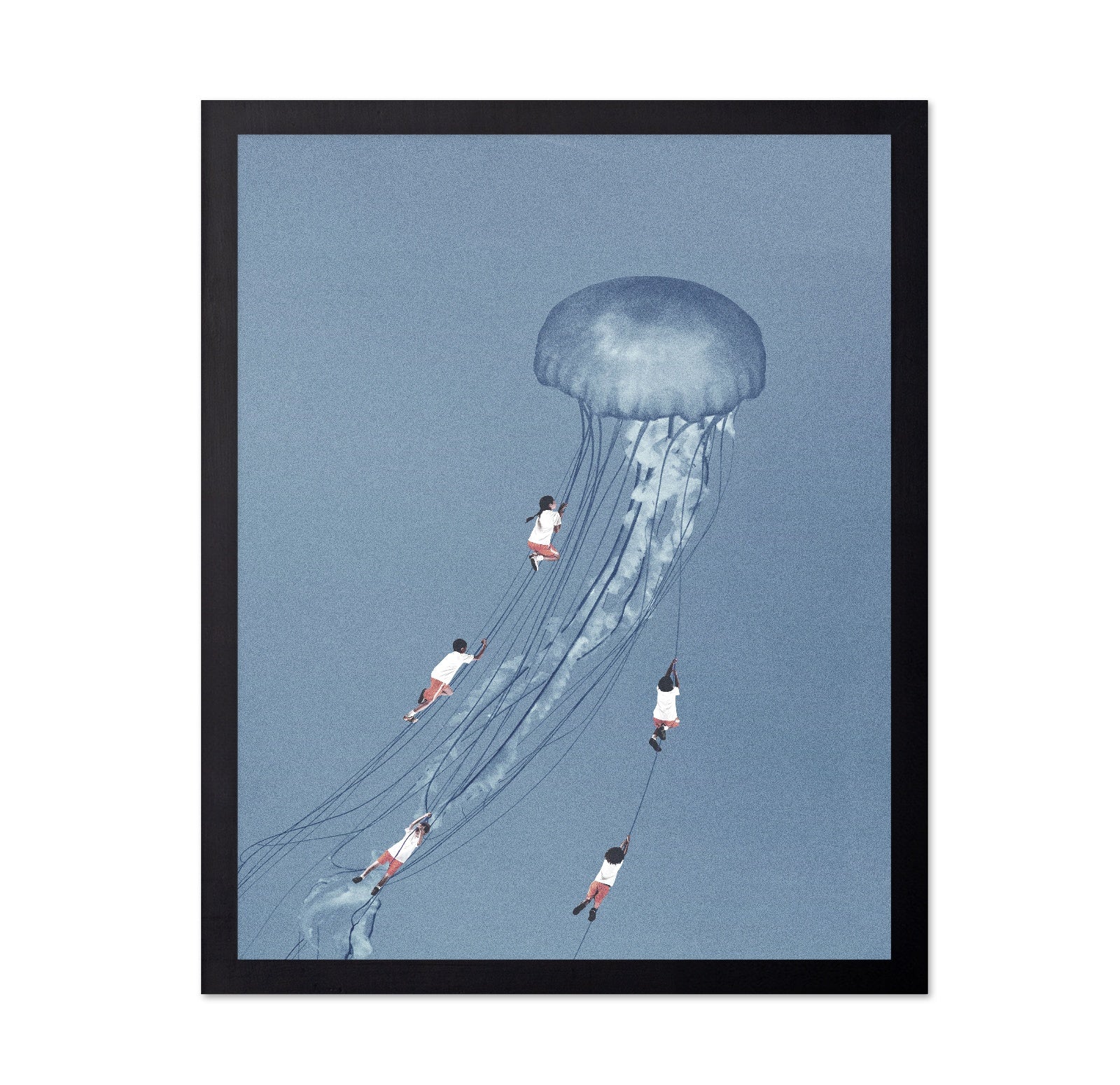 Jellyfish Journey