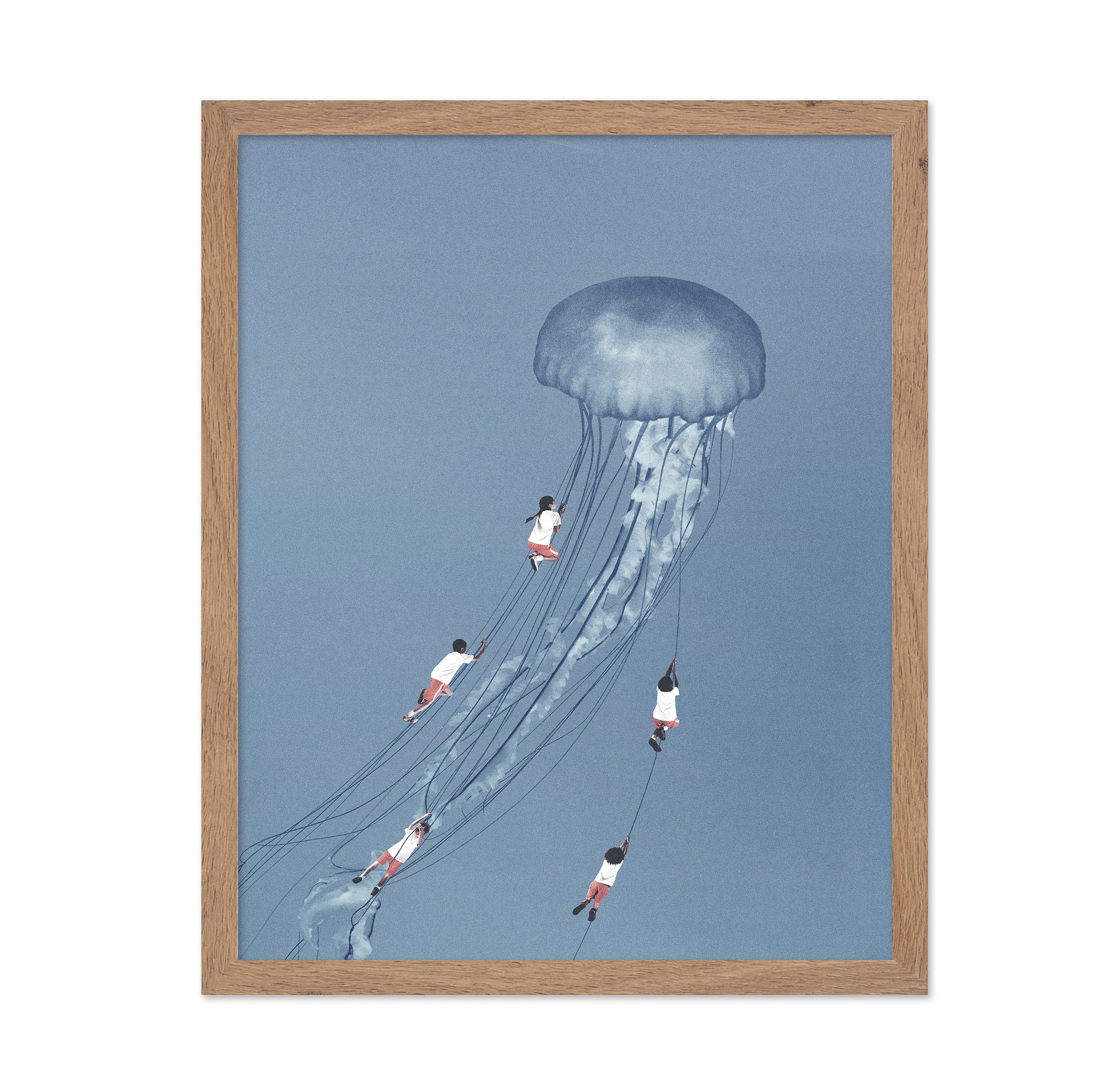 Jellyfish Journey