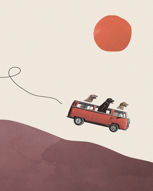 Dog Road Trip