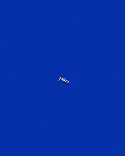 Floating Free