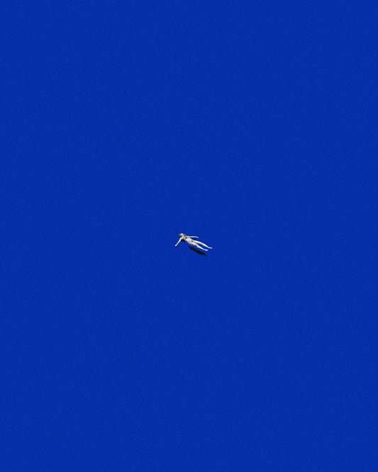 Floating Free