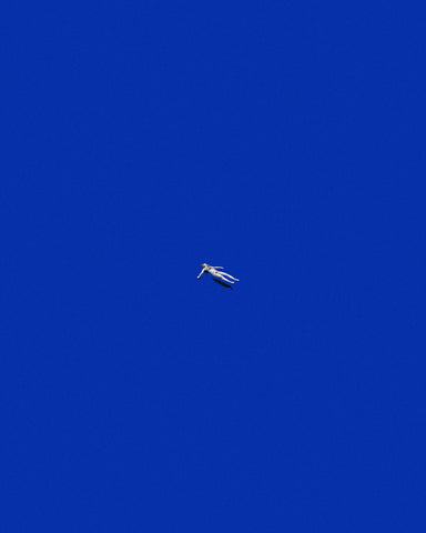 Floating Free