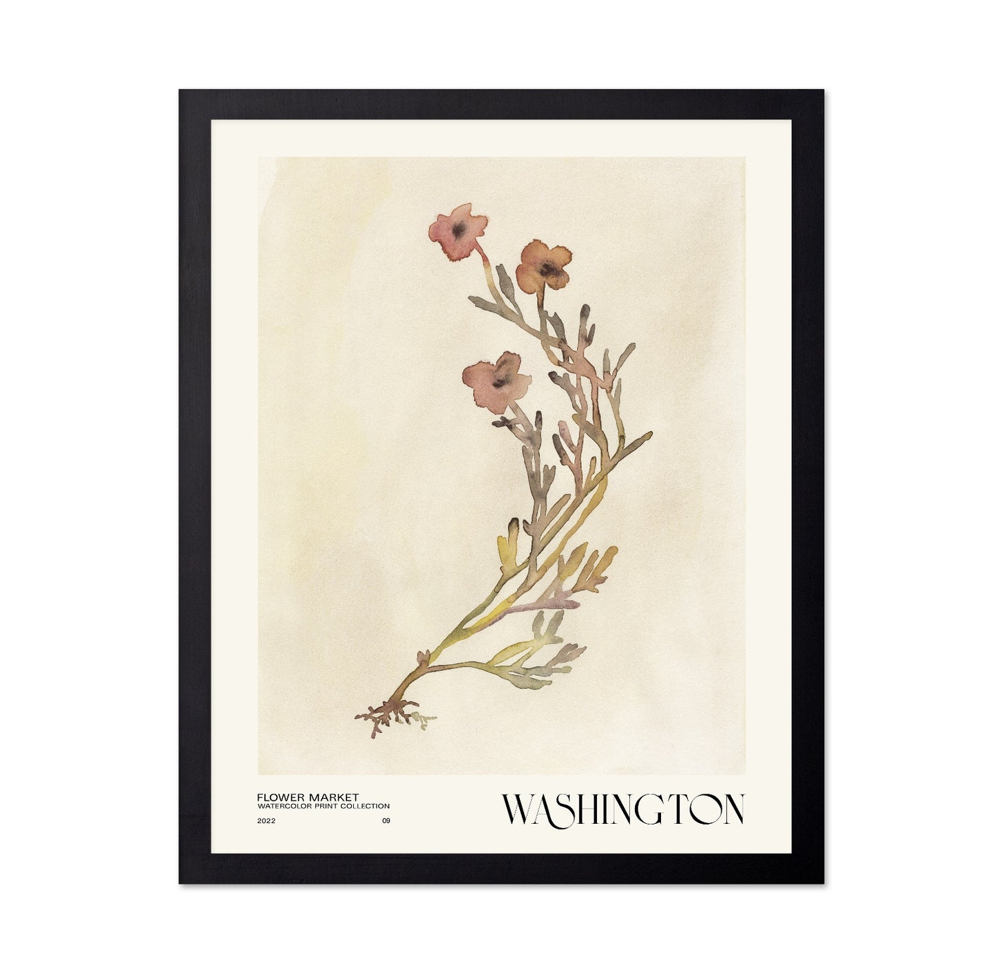 Washington Flower Market