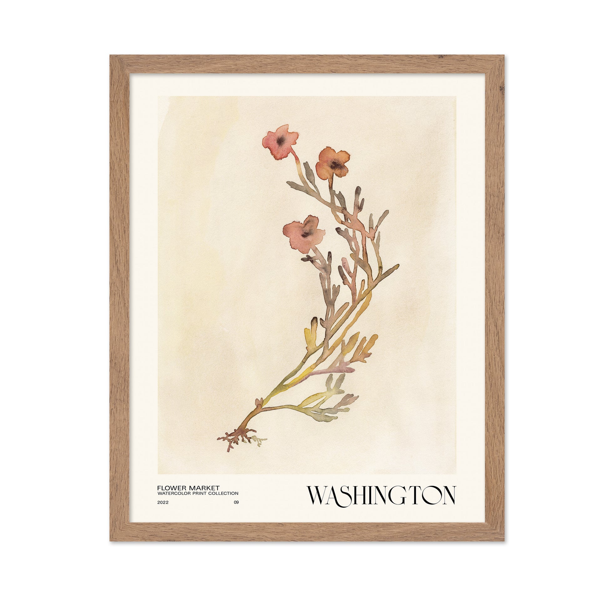 Washington Flower Market