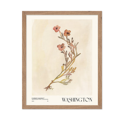 Washington Flower Market