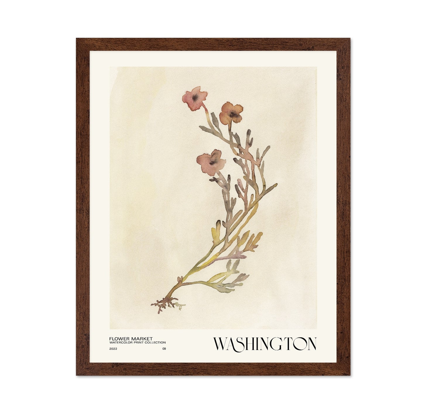 Washington Flower Market