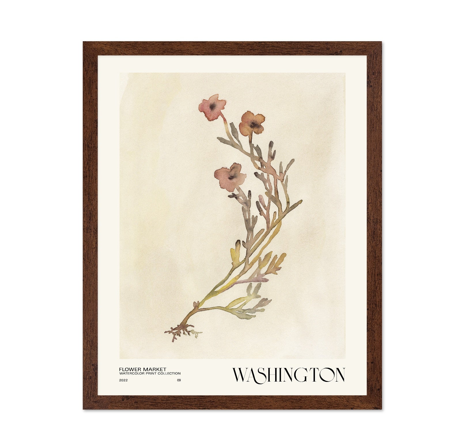 Washington Flower Market