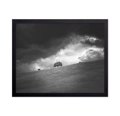 Stormy Hill Tree