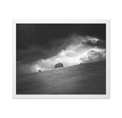 Stormy Hill Tree
