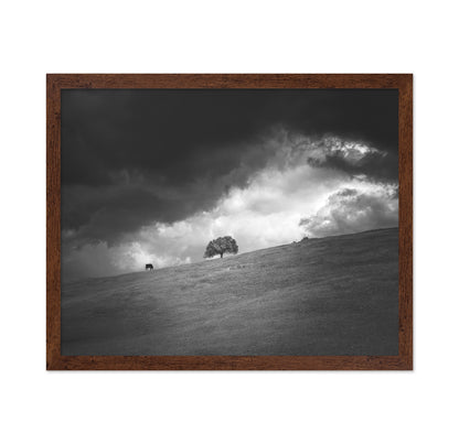 Stormy Hill Tree