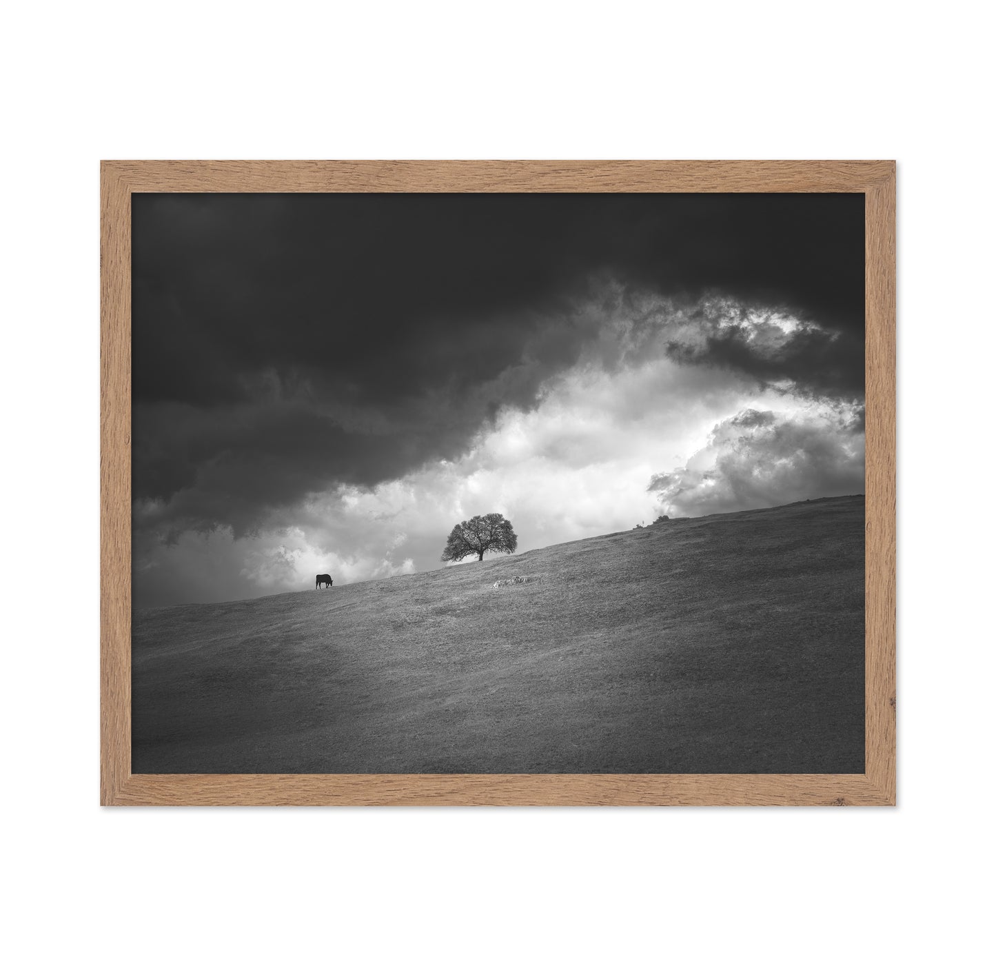 Stormy Hill Tree