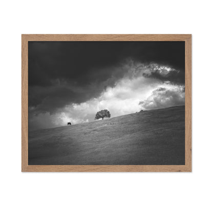 Stormy Hill Tree