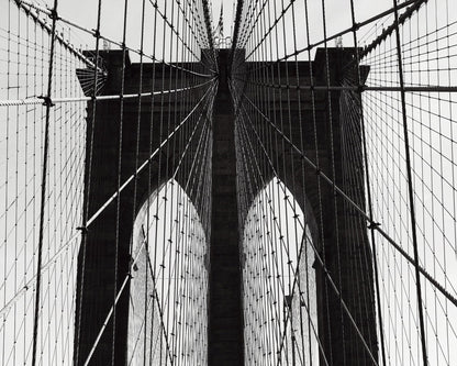 Bridge Cable Lines