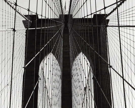Bridge Cable Lines