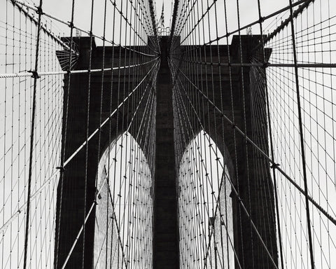 Bridge Cable Lines