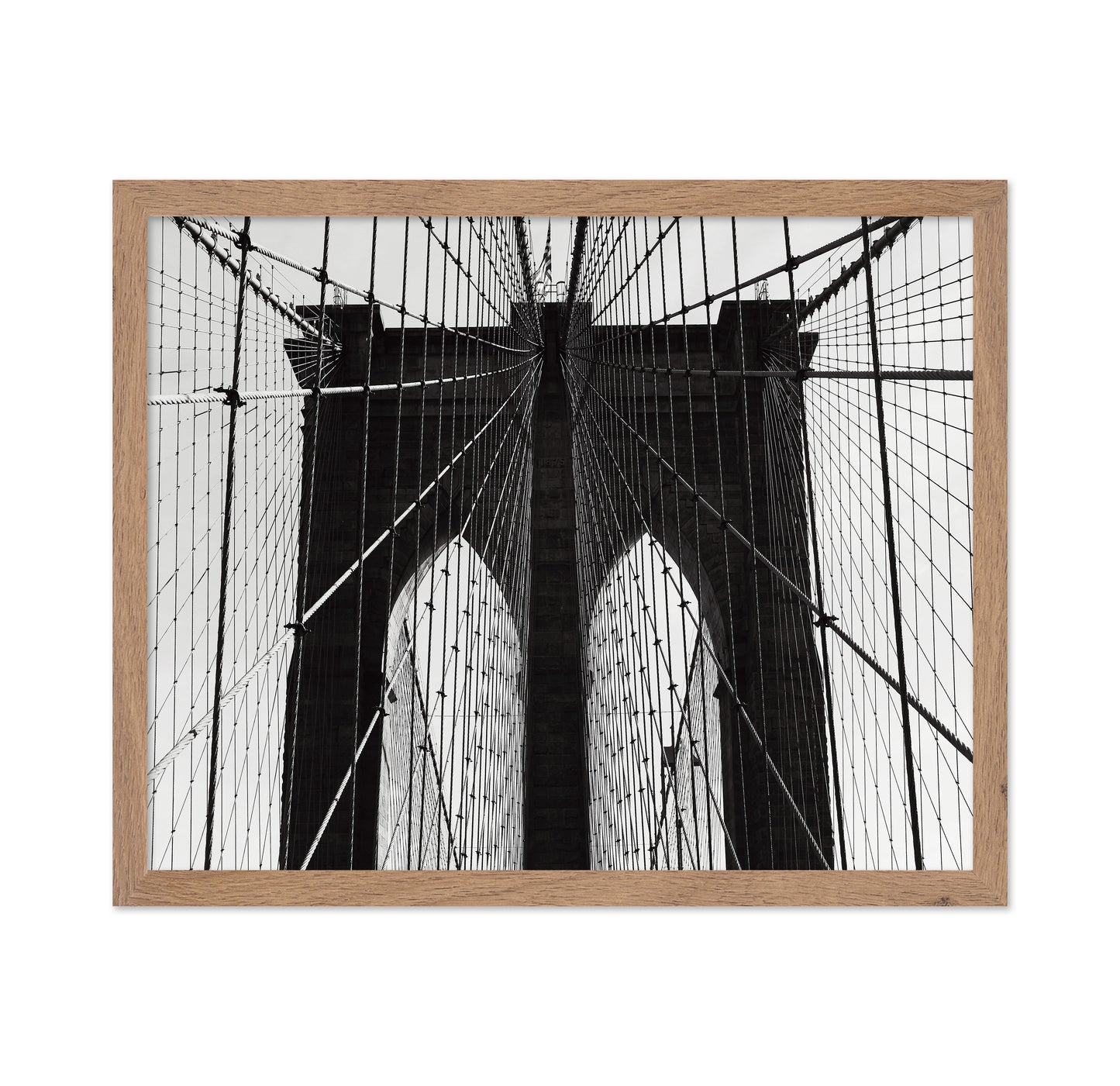 Bridge Cable Lines