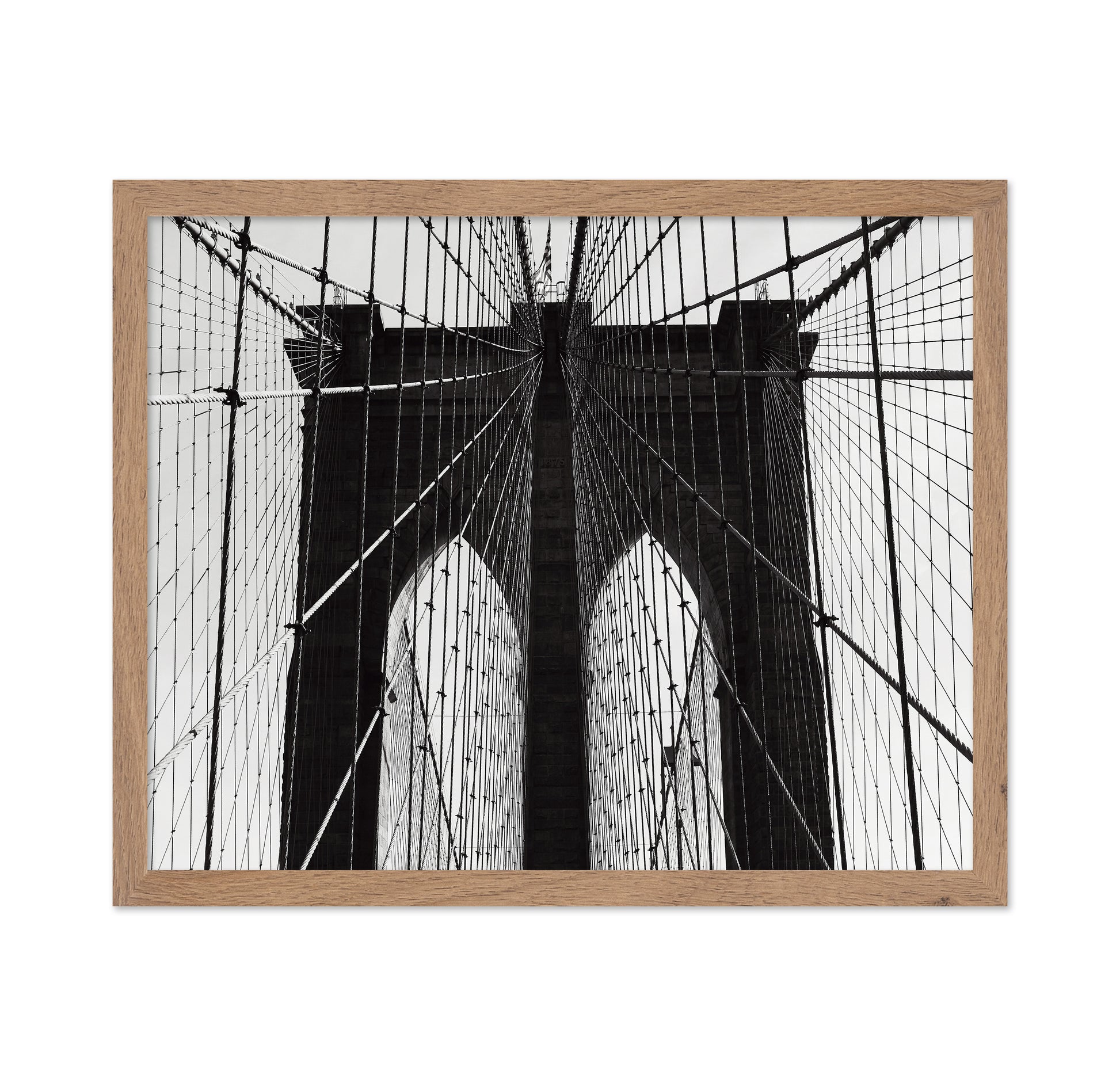 Bridge Cable Lines