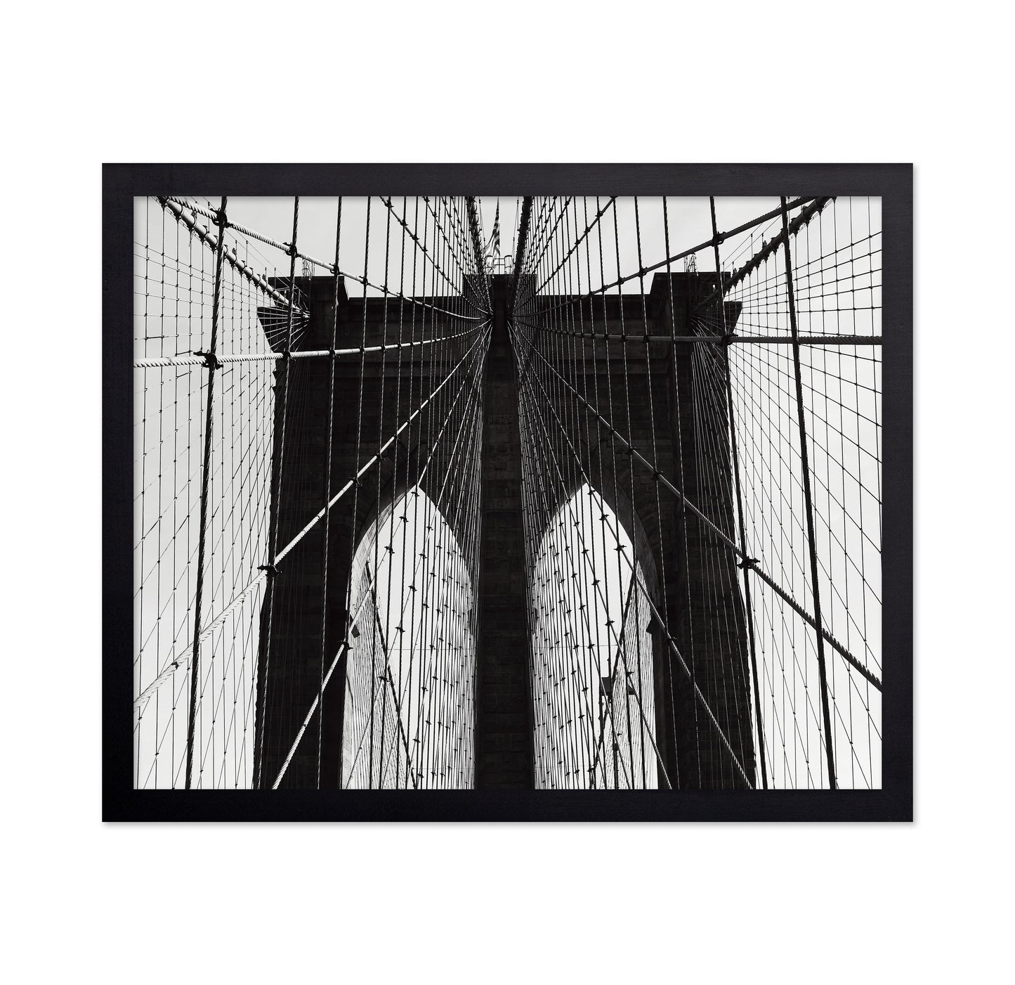 Bridge Cable Lines