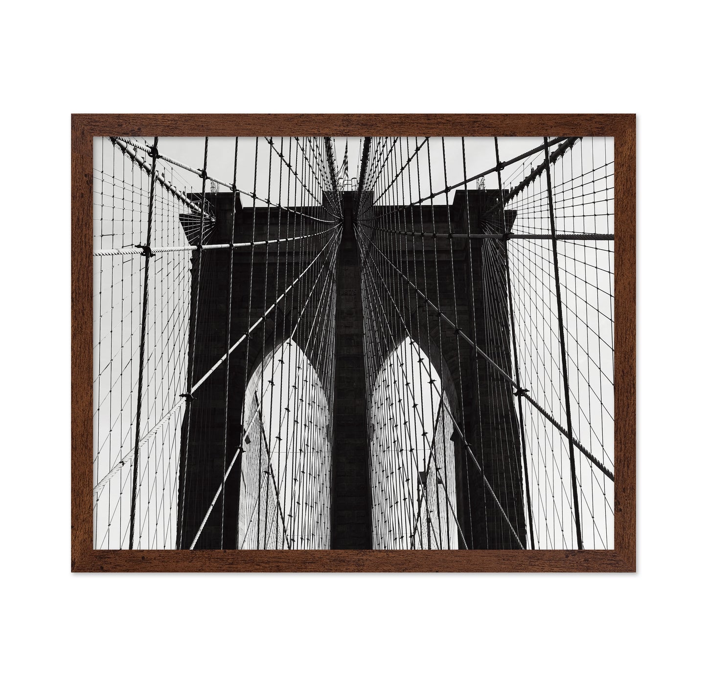 Bridge Cable Lines