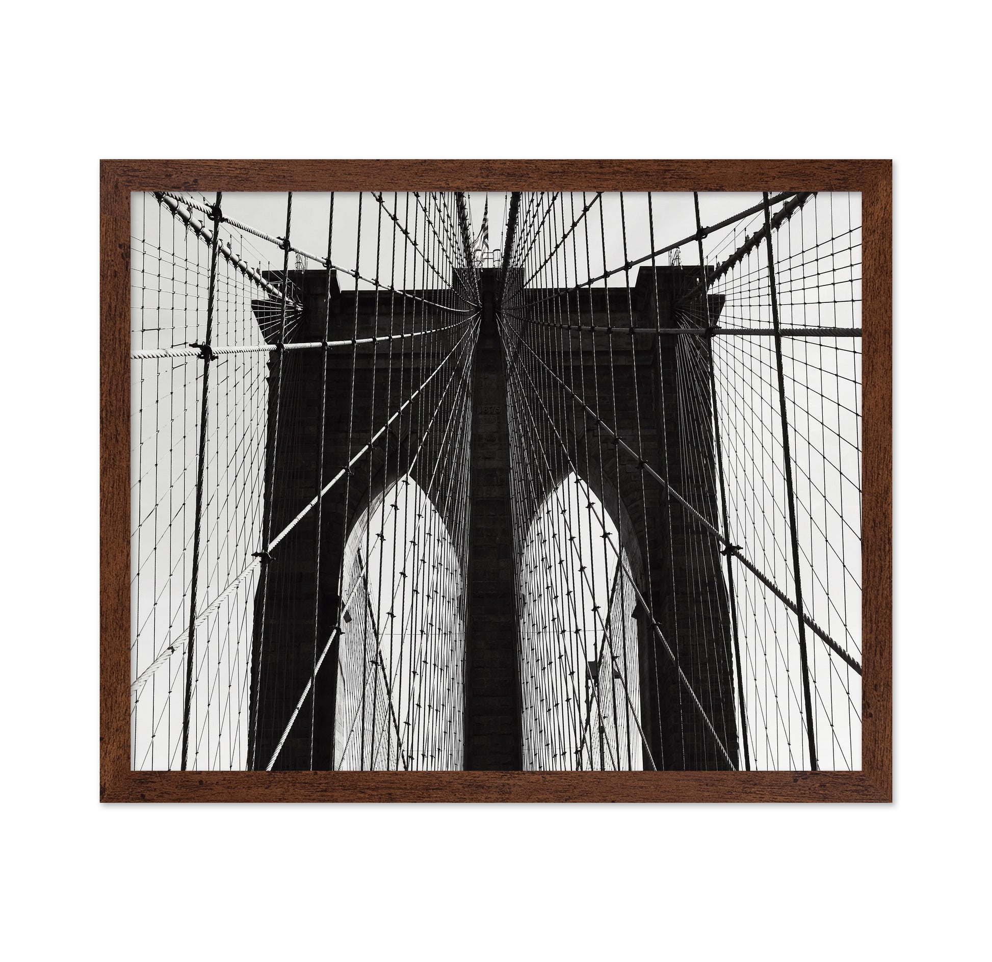 Bridge Cable Lines