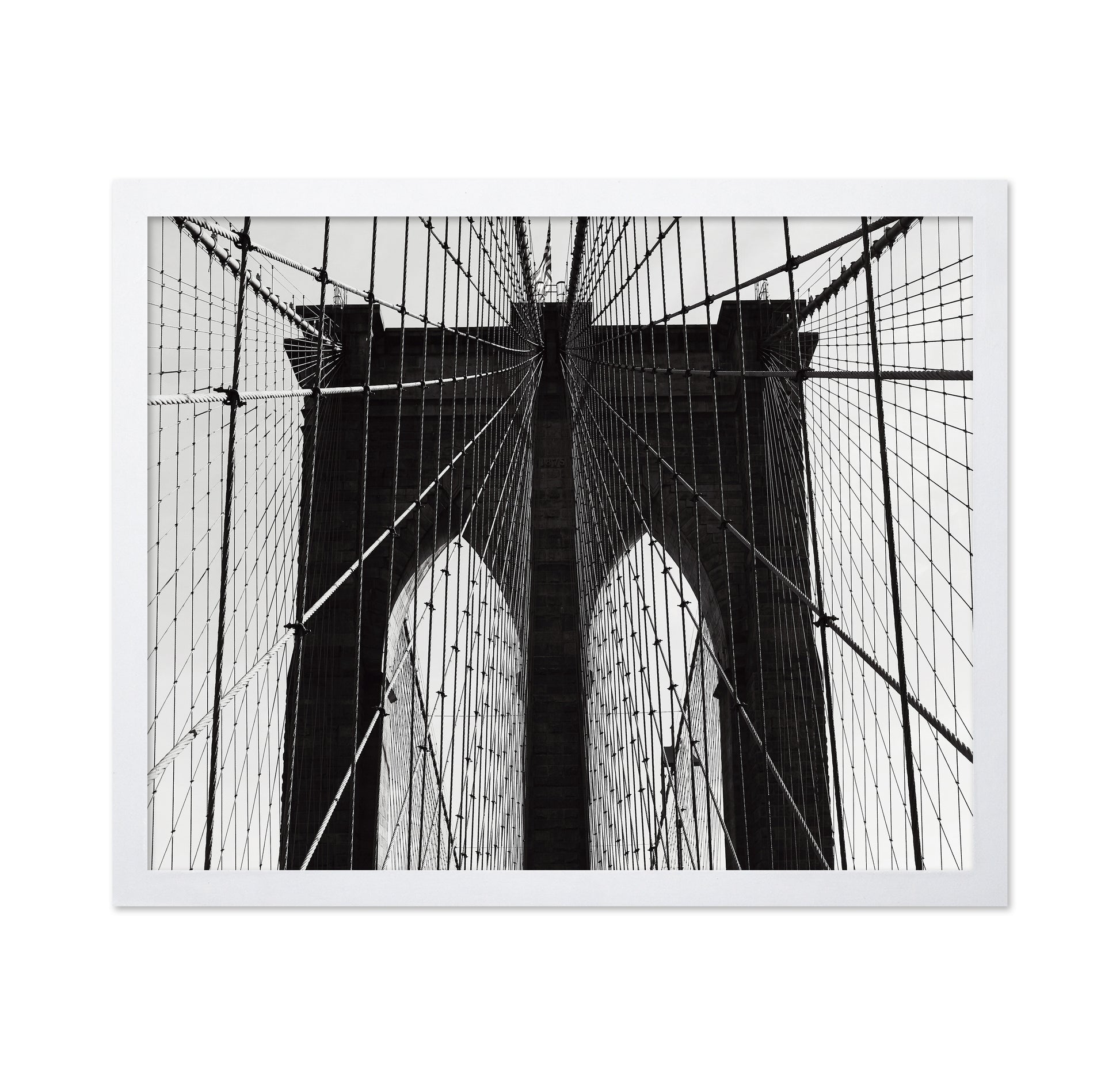 Bridge Cable Lines