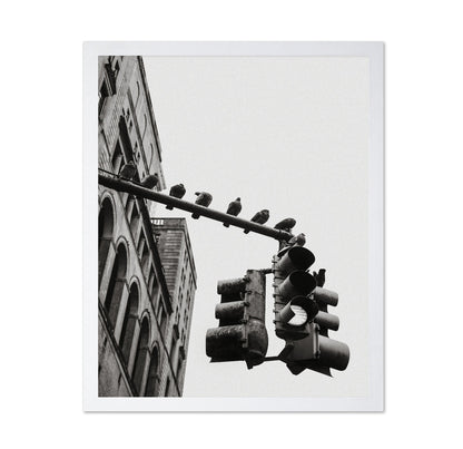City Doves Line