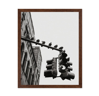 City Doves Line