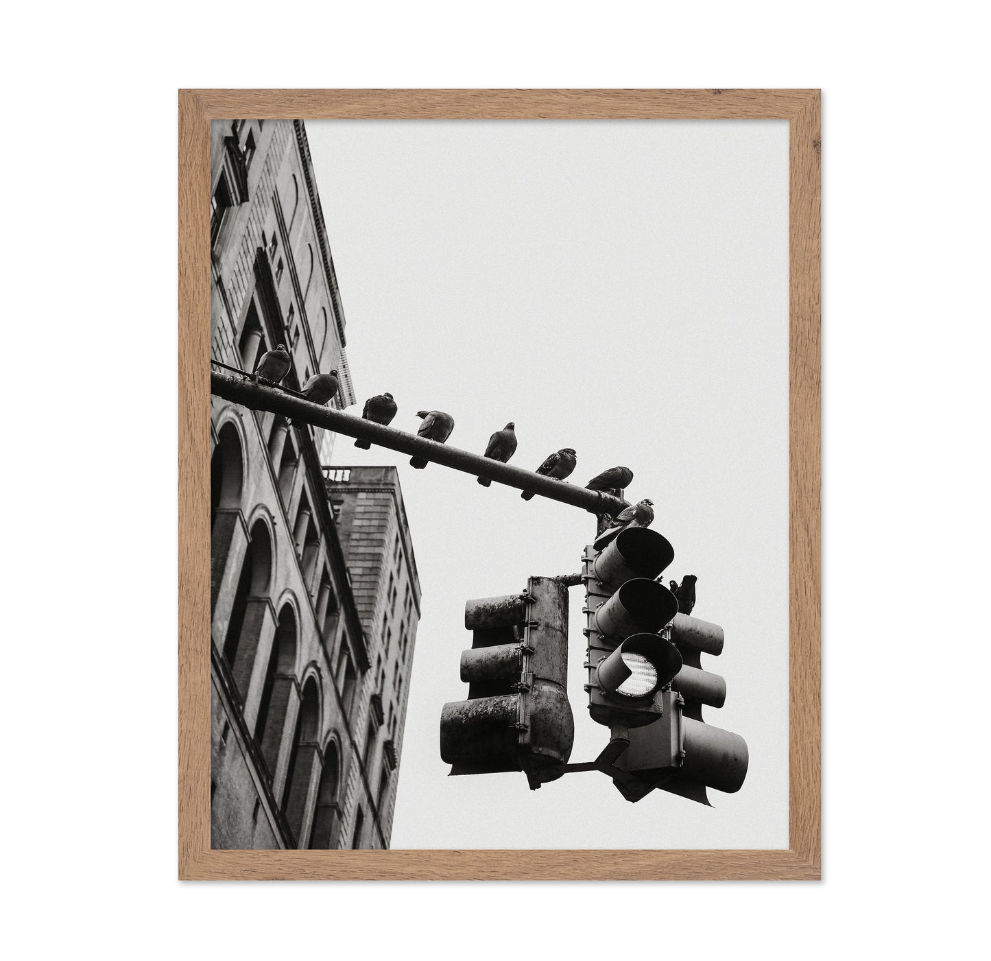 City Doves Line
